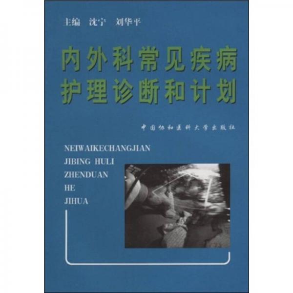 内外科常见疾病护理诊断和计划