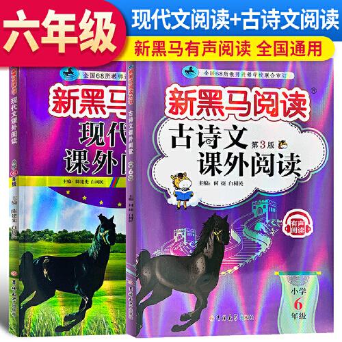 2024新版黑马阅读六年级现代文课外阅读+古诗文课外阅读6年级语文古诗文阅读理解专项训练人教版