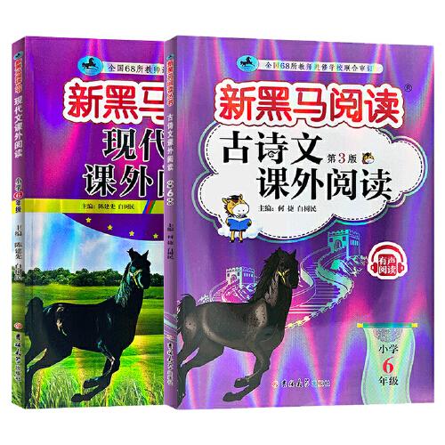 2024新版黑马阅读六年级现代文课外阅读+古诗文课外阅读6年级语文古诗文阅读理解专项训练人教版