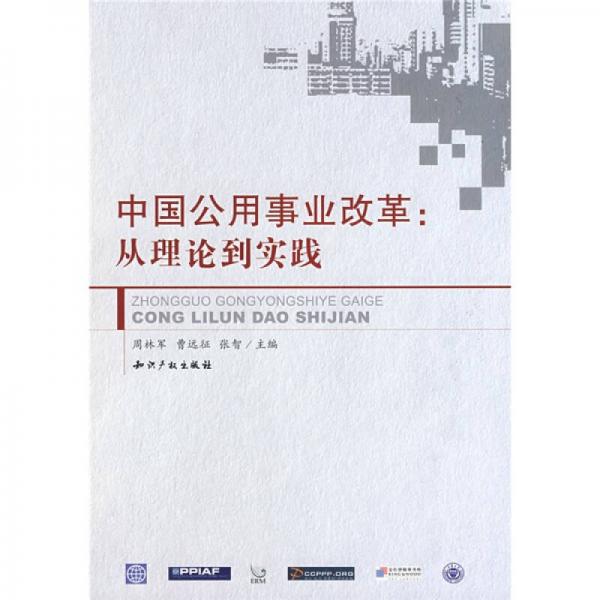 中國(guó)公用事業(yè)改革：從理論到實(shí)踐