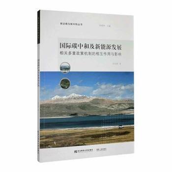 國(guó)際碳中和及新能源發(fā)展:相關(guān)多重政策機(jī)制的相互作用與影響