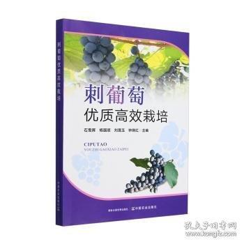 刺葡萄優(yōu)質(zhì)栽培