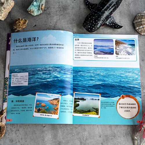 DK小科学馆·海洋