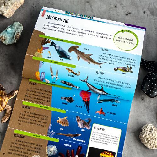 DK小科学馆·海洋