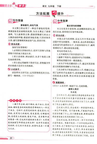 教材解读：语文