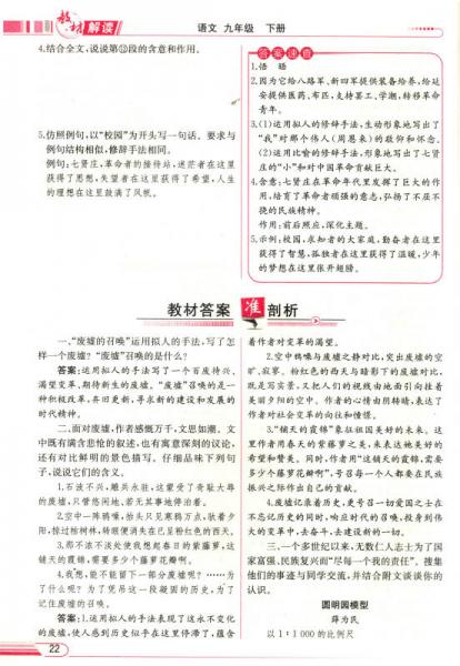 教材解读：语文