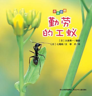 親親自然：勤勞的工蟻