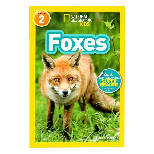 英文原版National Geographic Kids Readers:Foxes狐貍 國家地理分級閱讀Level 2