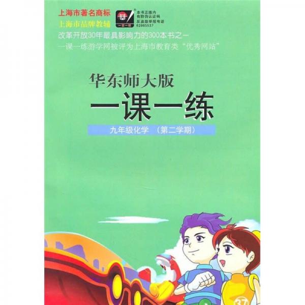 一课一练：9年级化学（第2学期）（华东师大版）