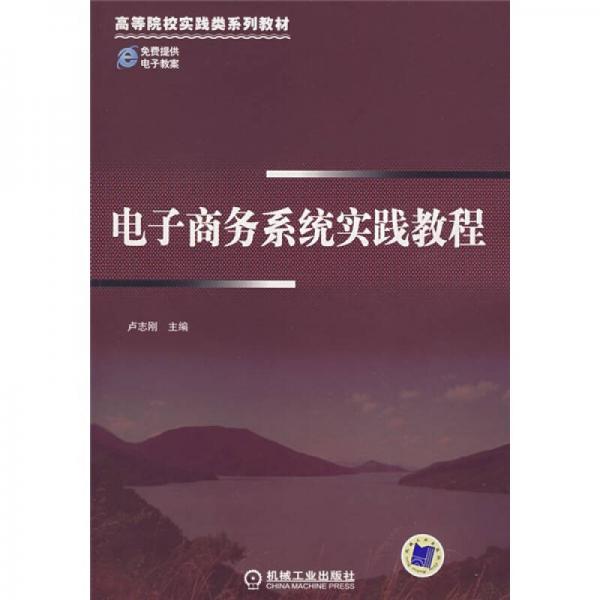 高等院校实践类系列教材：电子商务系统实践教程