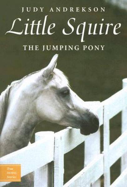 Little Squire: The Jumping Pony