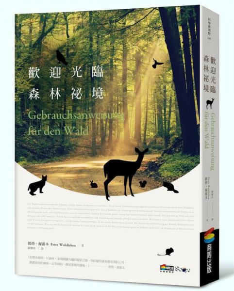 欢迎光临森林祕境 