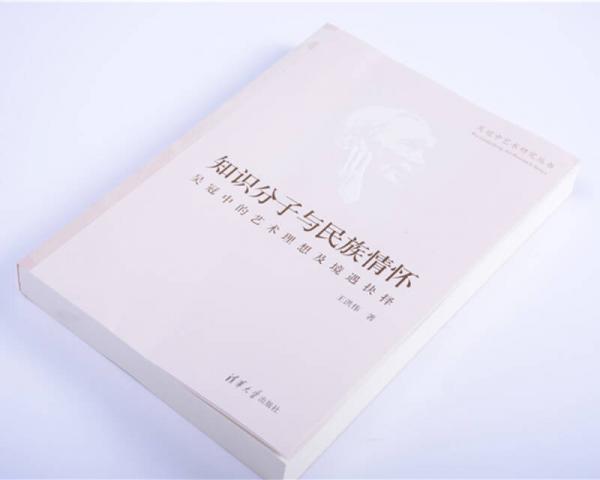 知识分子与民族情怀：吴冠中的艺术理想及境遇抉择/吴冠中艺术研究丛书