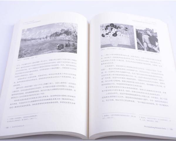 知识分子与民族情怀：吴冠中的艺术理想及境遇抉择/吴冠中艺术研究丛书