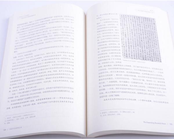 知识分子与民族情怀：吴冠中的艺术理想及境遇抉择/吴冠中艺术研究丛书