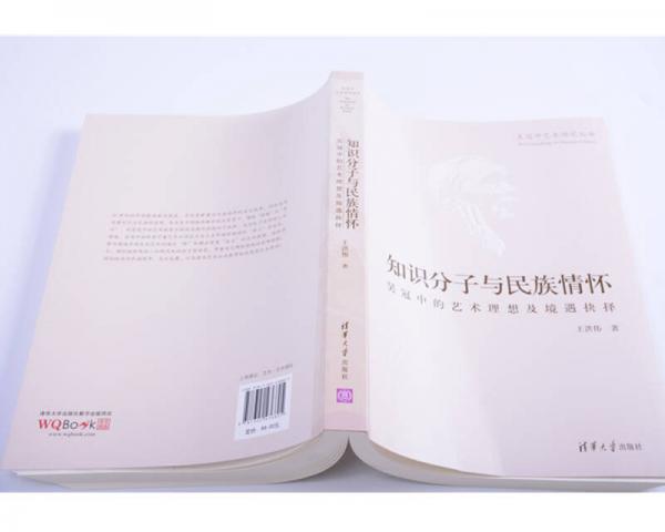 知识分子与民族情怀：吴冠中的艺术理想及境遇抉择/吴冠中艺术研究丛书