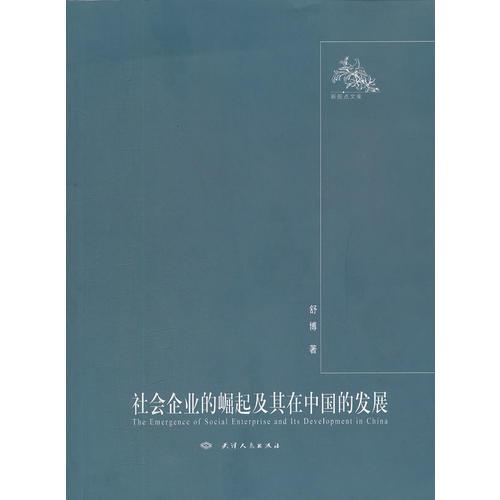 社会企业的崛起及其在中国的发展/新视点文库