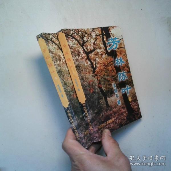 芳林陈叶