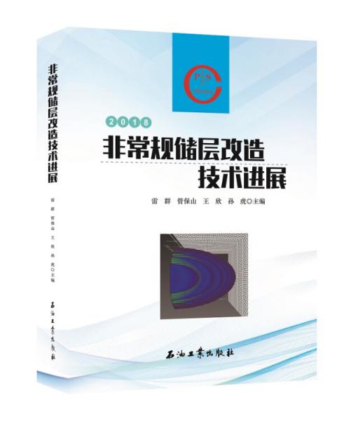 非常規(guī)儲(chǔ)層改造技術(shù)進(jìn)展