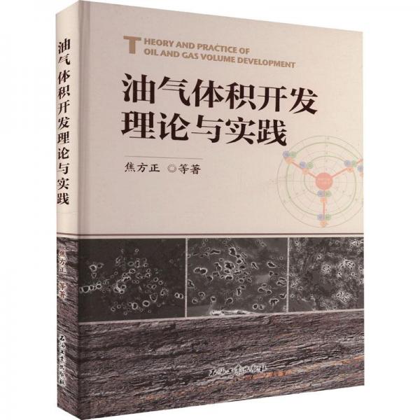 油氣體積開發(fā)理論與實踐