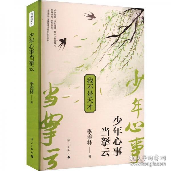 我不是天才 少年心事當(dāng)拏云