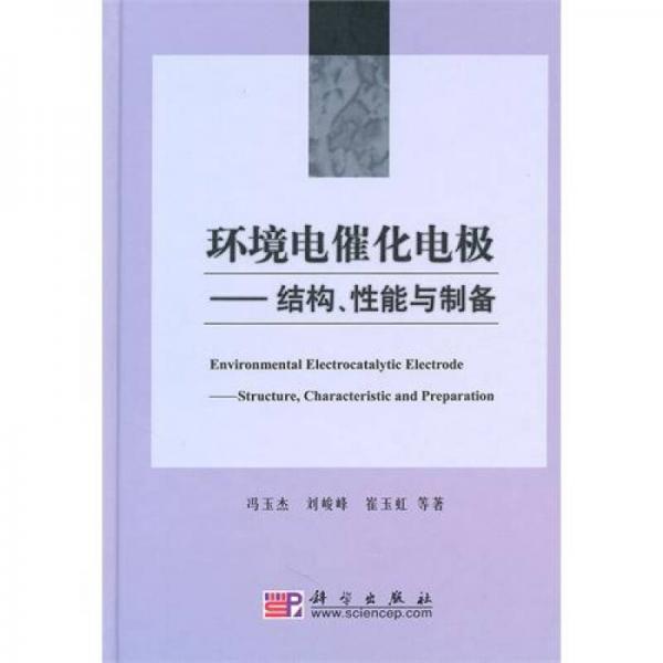 环境电催化电极：结构、性能与制备