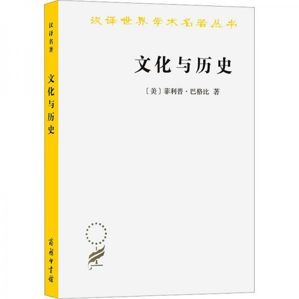文化與歷史：文明比較研究導(dǎo)論(漢譯名著本21)