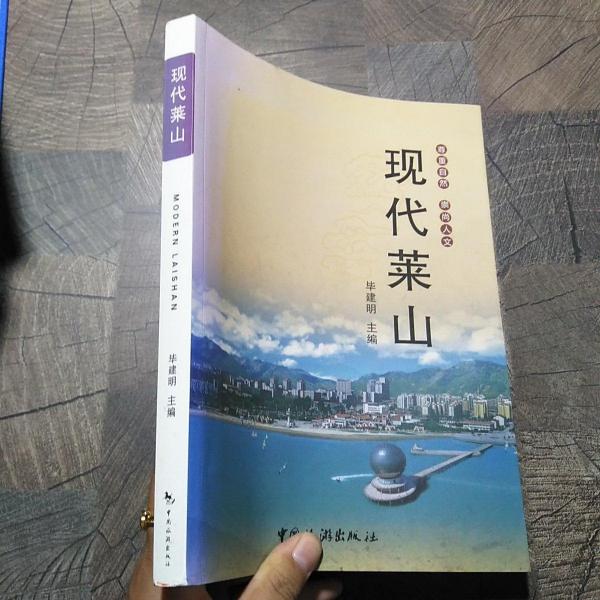現(xiàn)代萊山