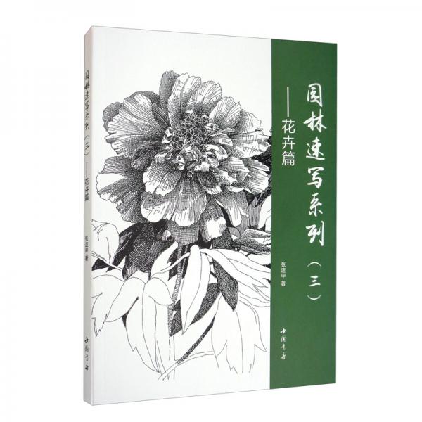 园林速写系列（三）：花卉篇