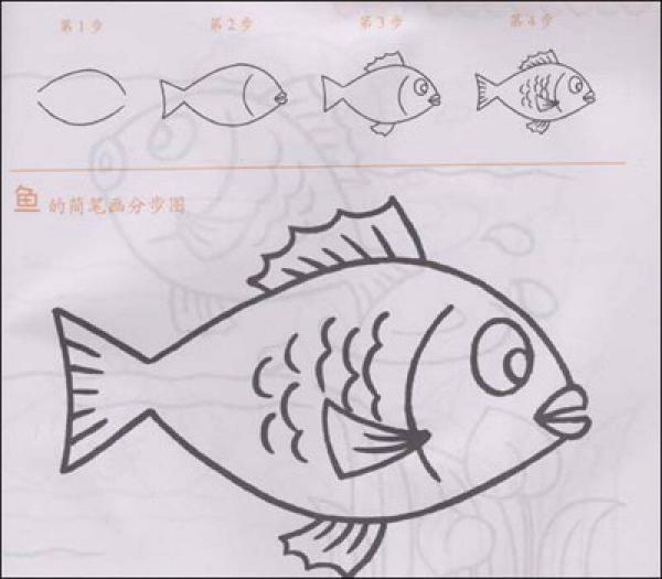 儿童多角度简笔画：动物