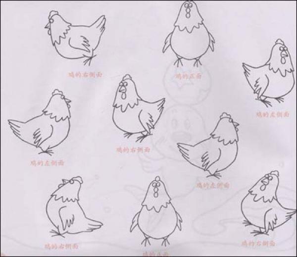 儿童多角度简笔画：动物