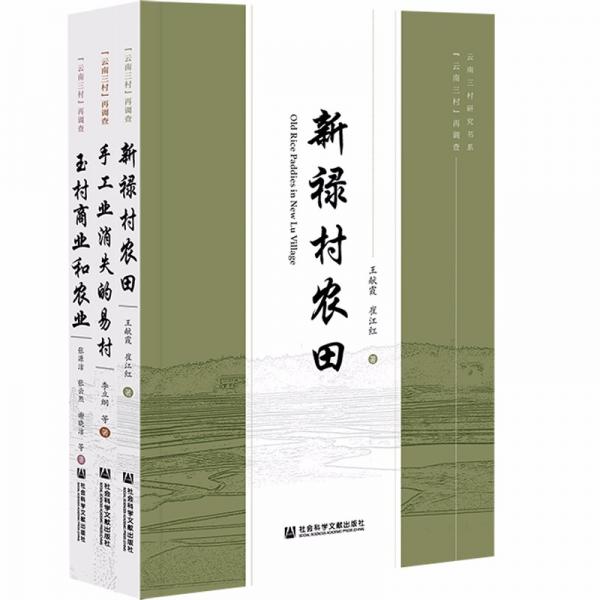 云南三村再调查(共3册)/云南三村研究书系
