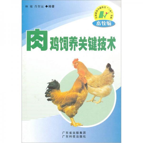 肉雞飼養(yǎng)關(guān)鍵技術(shù)