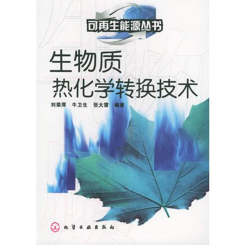 可再生能源叢書(shū)——生物質(zhì)熱化學(xué)轉(zhuǎn)換技術(shù)