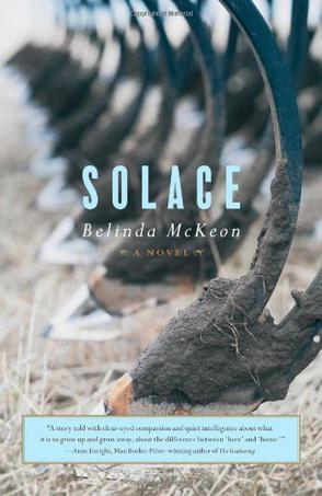 solace:a novel