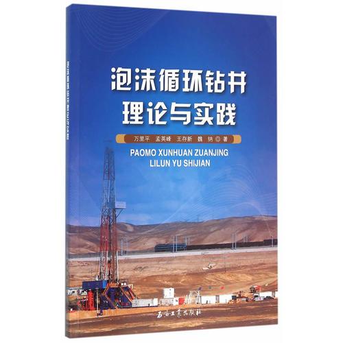 泡沫循環(huán)鉆井理論與實踐