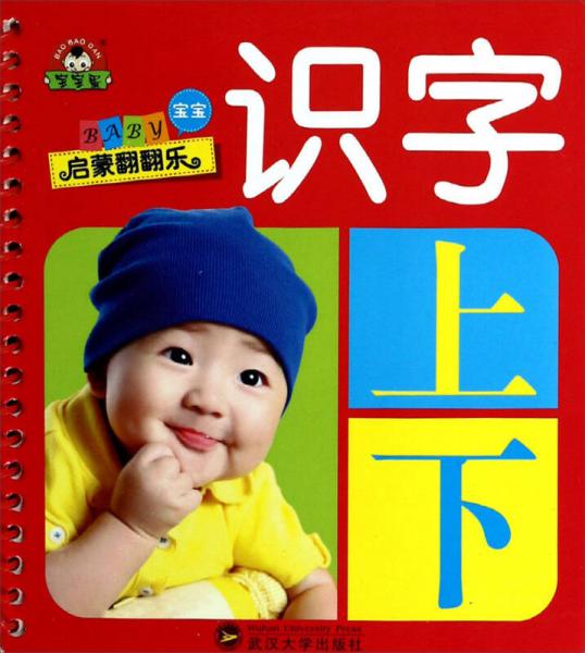 宝宝启蒙翻翻乐：识字