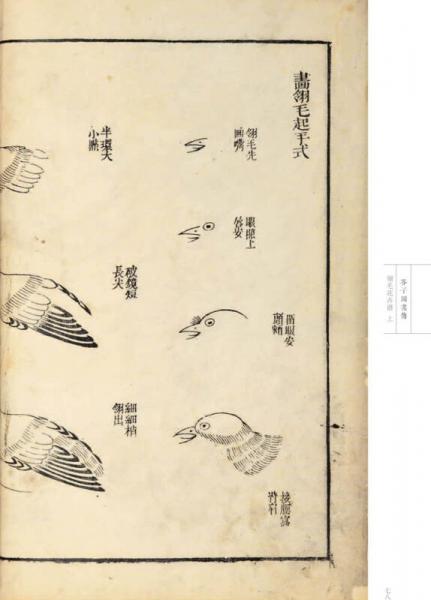 芥子园画传 花鸟卷·翎毛花卉谱上