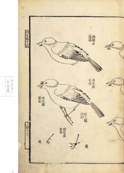 芥子园画传 花鸟卷·翎毛花卉谱上