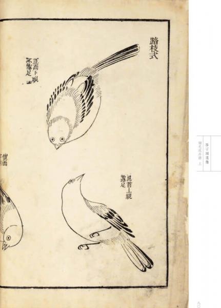 芥子园画传 花鸟卷·翎毛花卉谱上