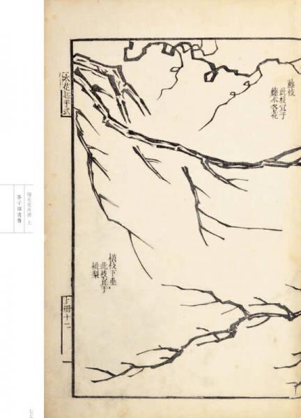 芥子园画传 花鸟卷·翎毛花卉谱上