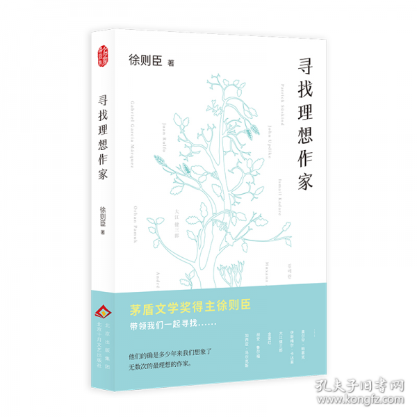 寻找理想作家