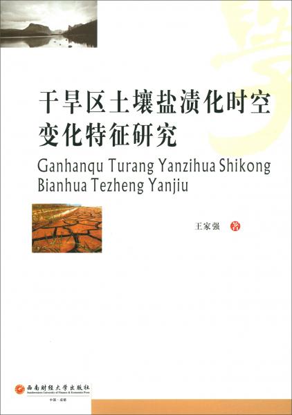 干旱區(qū)土壤鹽漬化時(shí)空變化特征研究