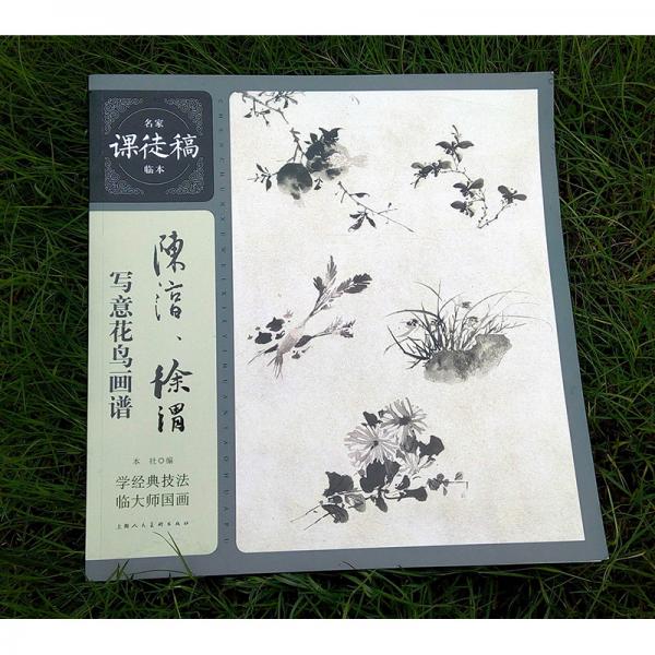 陈淳、徐渭写意花鸟画谱——名家课徒稿临本