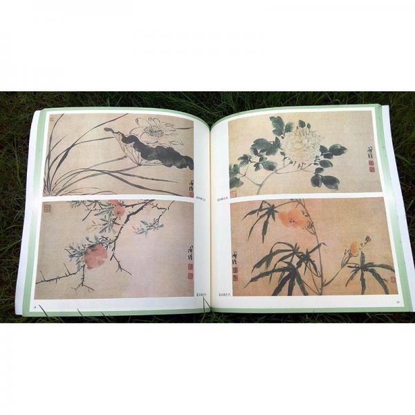 陈淳、徐渭写意花鸟画谱——名家课徒稿临本
