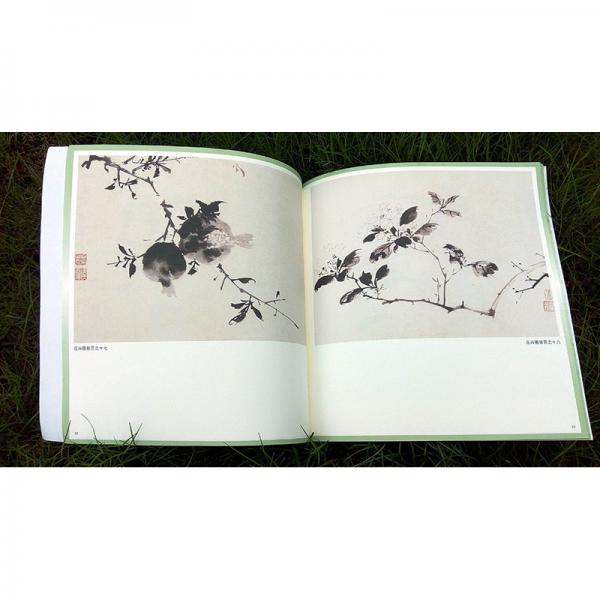 陈淳、徐渭写意花鸟画谱——名家课徒稿临本
