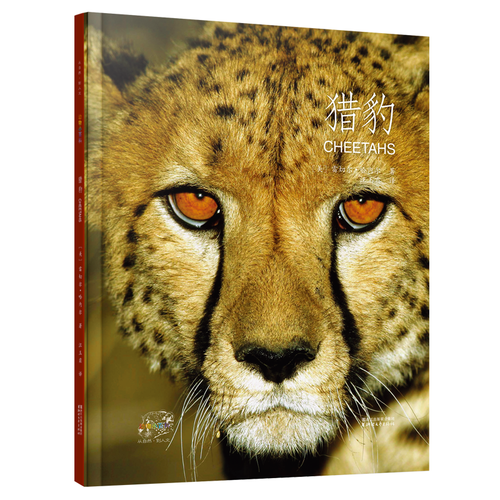 动物小百科：猎豹（平装本）