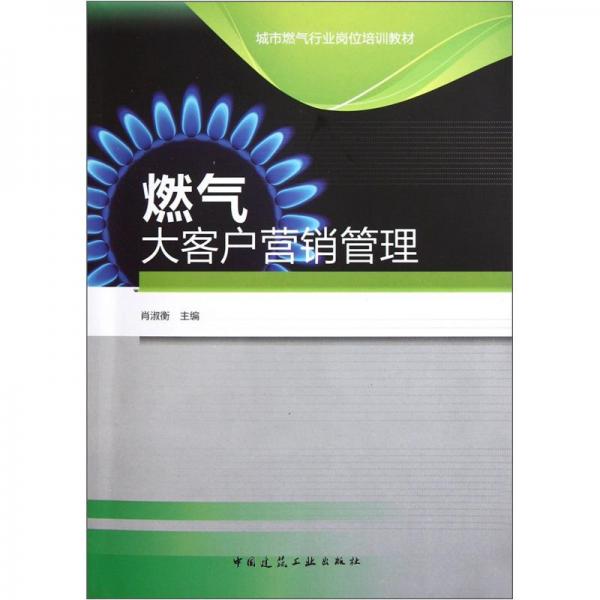 燃?xì)獯罂蛻魻I(yíng)銷管理