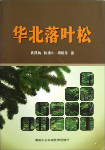 華北落葉松