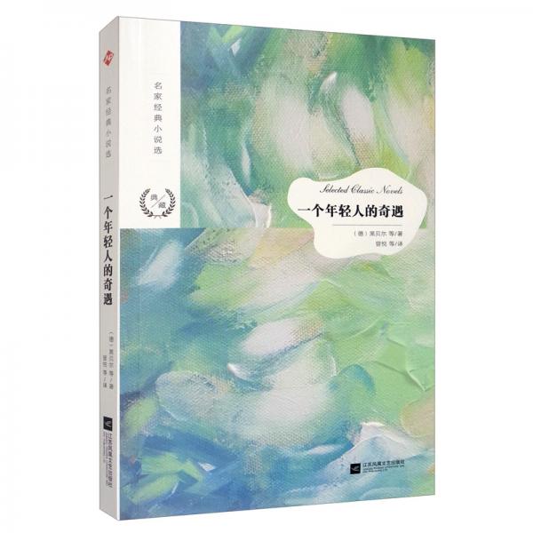 名家經(jīng)典小說選：一個年輕人的奇遇